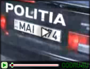 Militia lui Voronin
