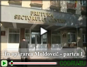 In apararea Moldovei
