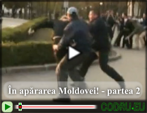 In apararea Moldovei
